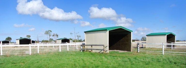 Farm Shed 768x282