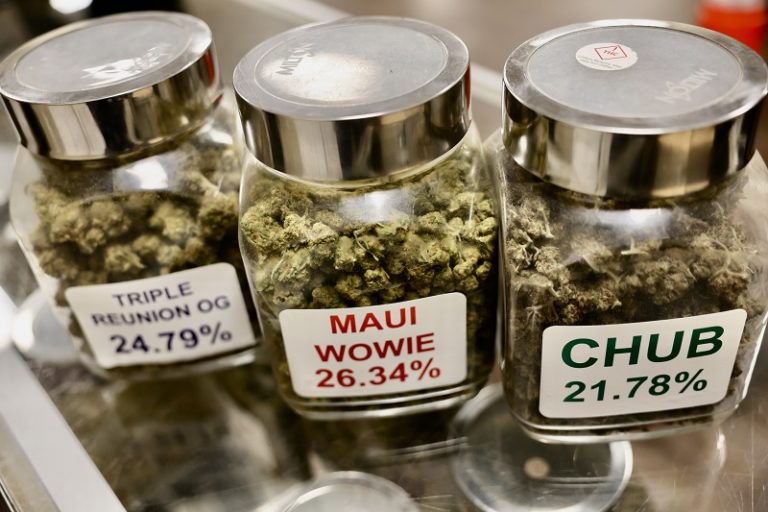 Marijuana Pueblo CO 768x512