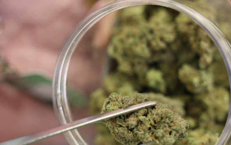 Weed Pueblo West CO 768x484