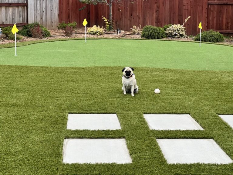 Artificial Grass Installation Henderson 768x576