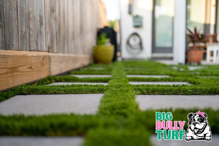 Pet Turf Henderson 768x512