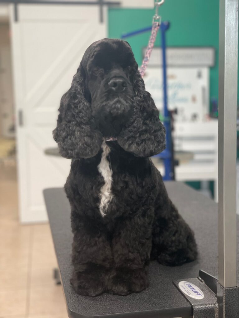 Photo 53762 2 768x1024