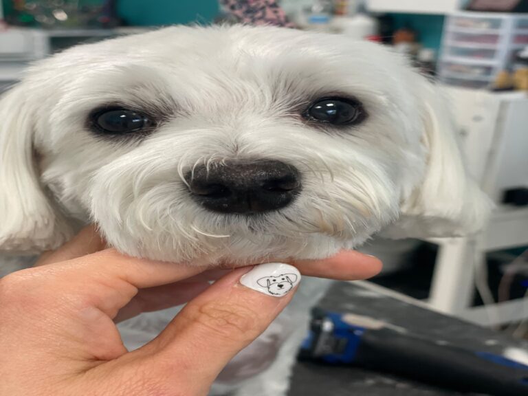 Photo 53762 3 768x576