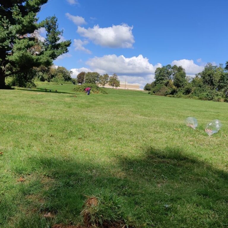 Photo 53476 3 768x768