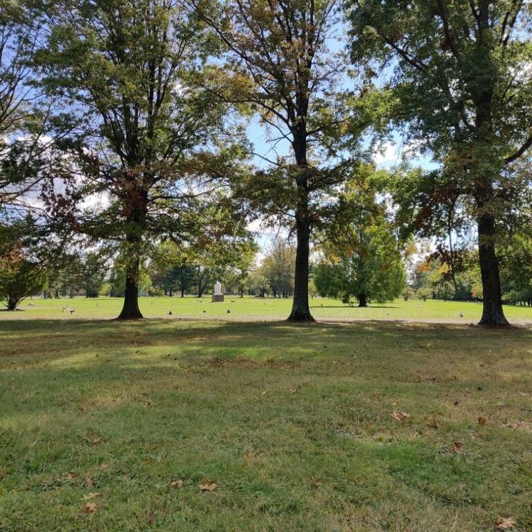 Photo 53476 4 768x768