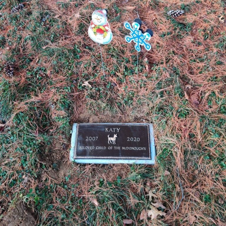 Photo 53476 5 768x768