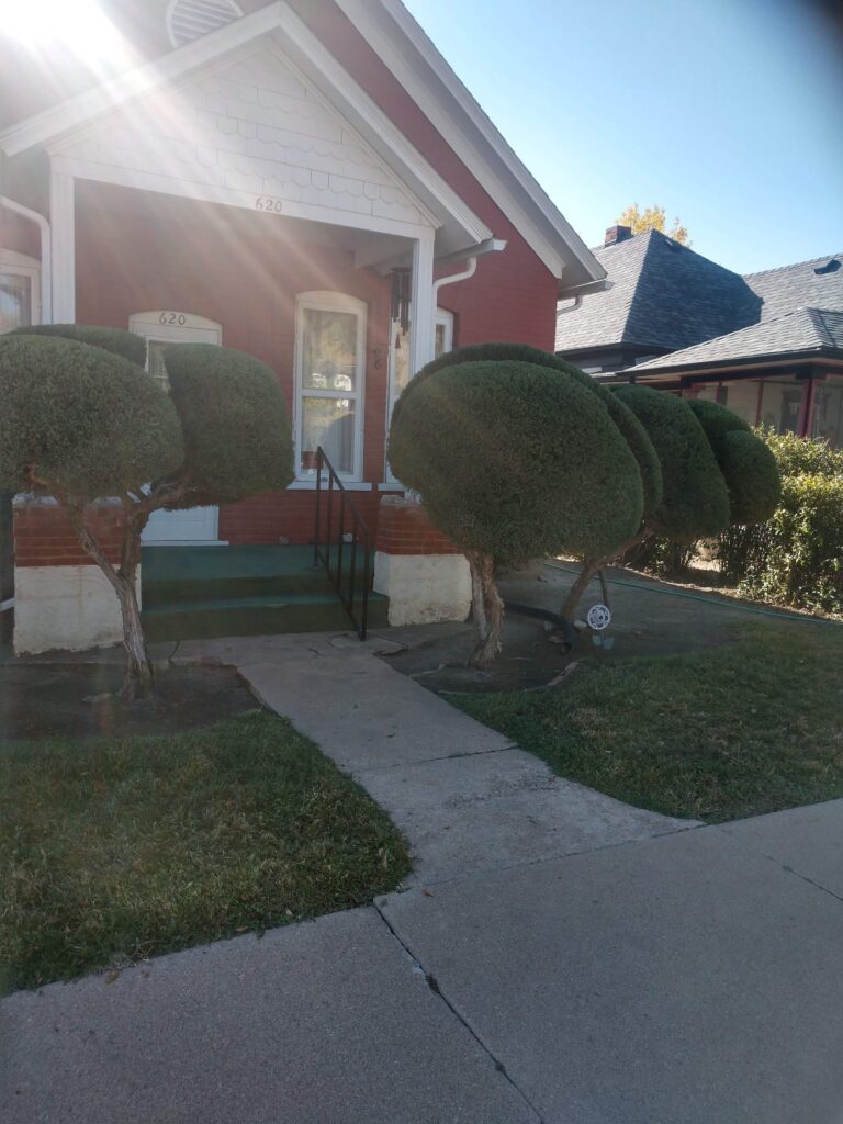 Photo 57338 2 768x1024