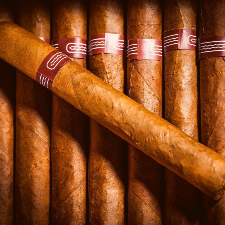 Photo 50221 4 768x768