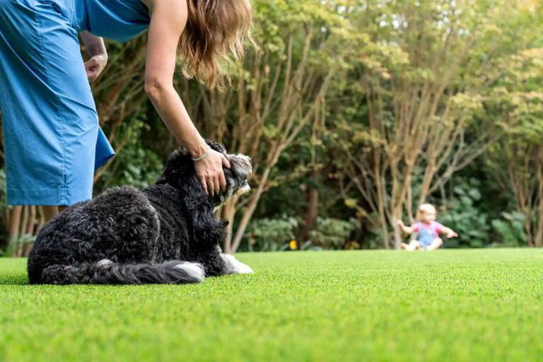 Turf Installers Scottsdale 768x512